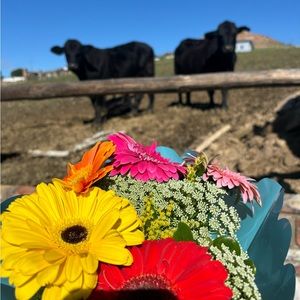 Meet your Posher, Fern